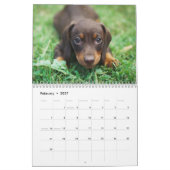 Hunde Calender 2025 カレンダー (2月 2027)