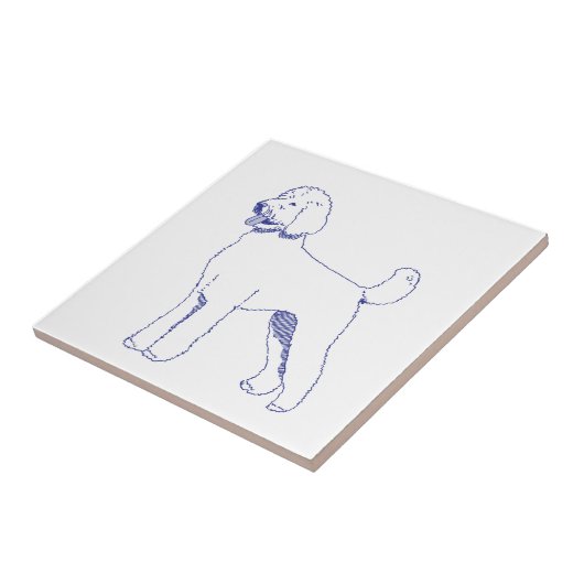 Hunderasse Goldendoodle タイル (側面)