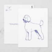 Hunderasse Goldendoodle ポストカード (正面/裏面)
