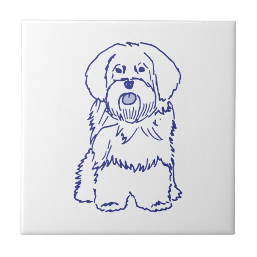 Hunderasse Havanese タイル (正面)