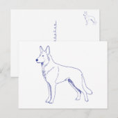 Hunderasse Schäferhund ポストカード (正面/裏面)