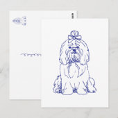 Hunderasse Shih Tzu ポストカード (正面/裏面)