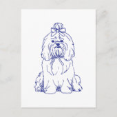Hunderasse Shih Tzu ポストカード (正面)