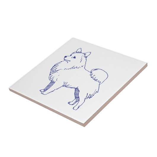 Hunderasse Spitz タイル (側面)