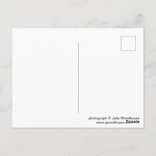 Hundertwasser in Magdeburgの写真 ポストカード (裏面)