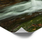 Hungarian Falls Mossy Forest Cascade ポスター (角)