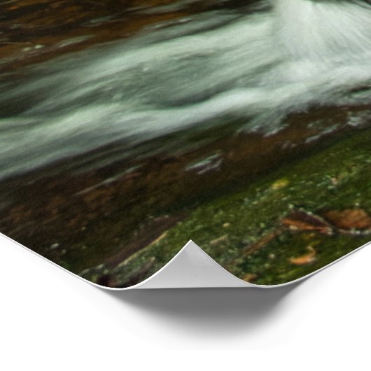 Hungarian Falls Mossy Forest Cascade ポスター (角)