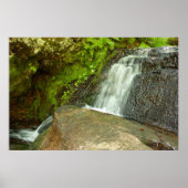 Hungarian Falls Mossy Forest Cascade ポスター (正面)