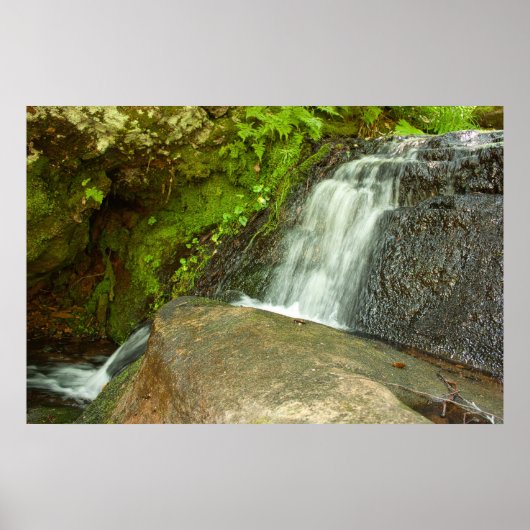 Hungarian Falls Mossy Forest Cascade ポスター (正面)