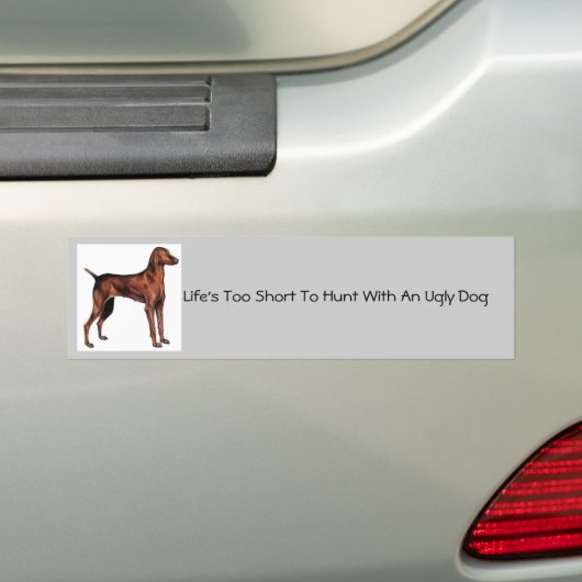 Hungarian_Vizslaの短い生命余りにと捜すため… バンパーステッカー (車上)