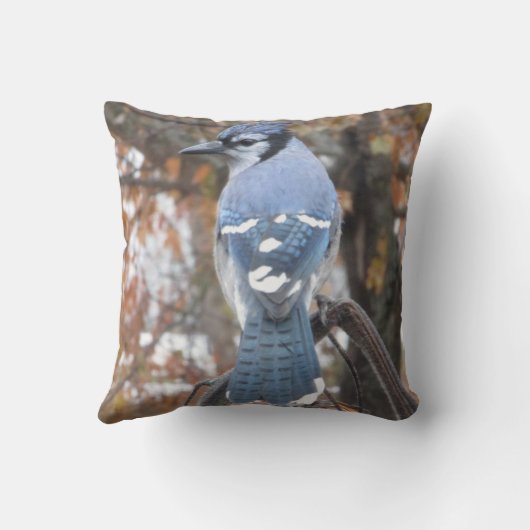 Hunged Blue Jayあなたの名前 クッション (裏面)