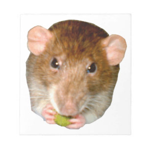 Hunged Ratメモ帳 ノートパッド