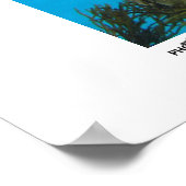 Hunged Turtle - Photo of the Year Category Winner ポスター (角)