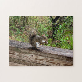 Hungry Squirrel ジグソーパズル