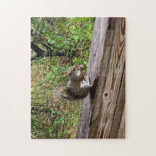 Hungry Squirrel ジグソーパズル (縦)