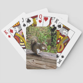 Hungry Squirrel トランプ