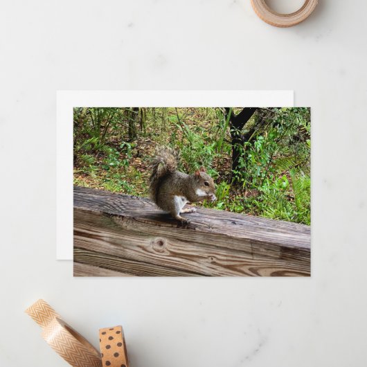 Hungry Squirrel  ノートカード (正面/裏面インサイチュ)