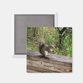 Hungry Squirrel マグネット (正面/裏面)