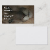 「Huntのオオヤマネコ 名刺 (正面/裏面)