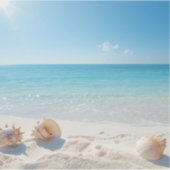 Hunt for the perfect shell シール (正面)