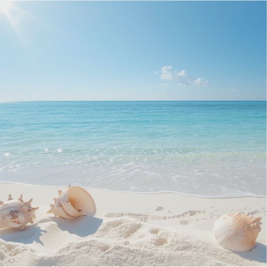 Hunt for the perfect shell シール (正面)