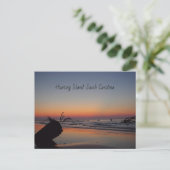 Hunting Island Sunrise ポストカード (スタンド正面)