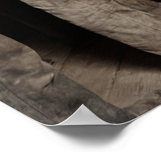 Hurdy Gurdy Girl ポスター (角)