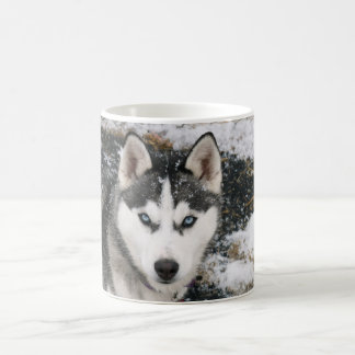 Husky dog コーヒーマグカップ