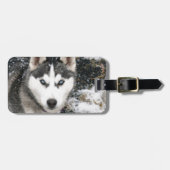 Husky dog ラゲッジタグ (正面横)