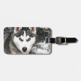 Husky dog ラゲッジタグ