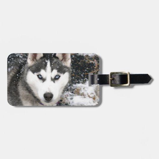 Husky dog ラゲッジタグ (正面横)