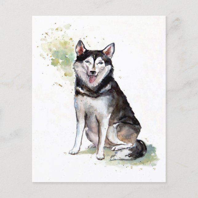 Husky dog Canvas (正面)