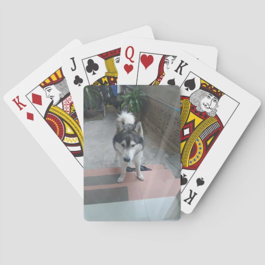 Husky Dog Classic Playing Cards トランプ (裏面)