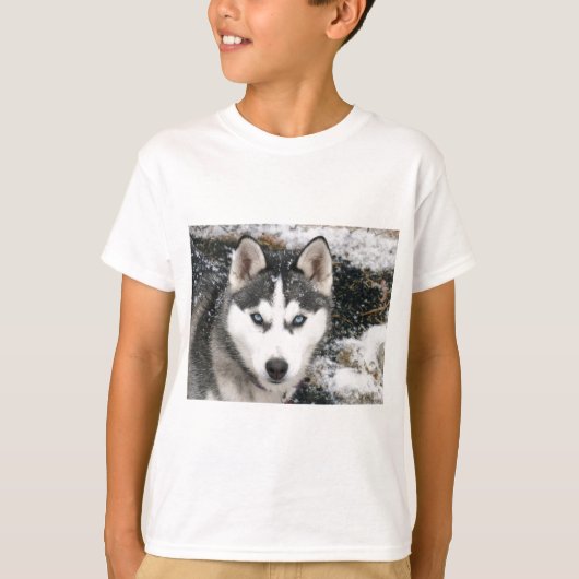 Husky dog tシャツ (正面)