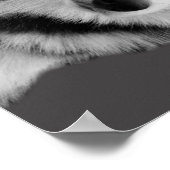 Husky Love ポスター (角)