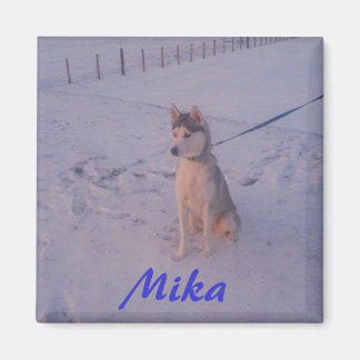 Husky.Mika.マグネット マグネット
