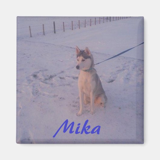 Husky.Mika.マグネット マグネット (正面)