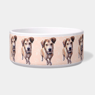 Husky Puppy Ceramic Pet Bowl ボウル