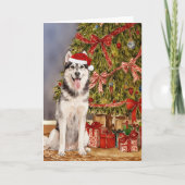 Husky Watercolor Under the Christmas Tree カード (正面)