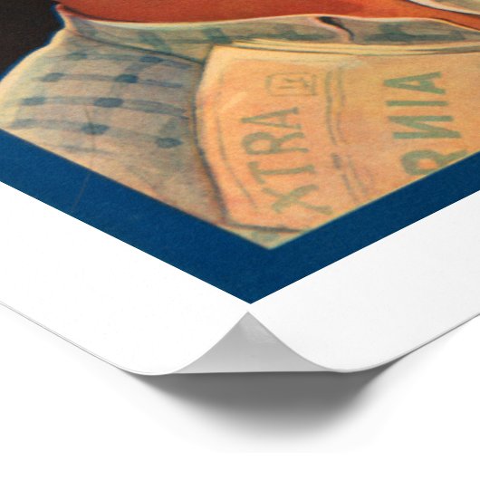 Hustler Brand Barletts ポスター (角)