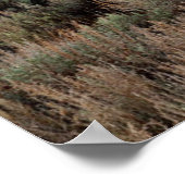 Hwy 395に沿って6月の湖に古い農家 ポスター (角)