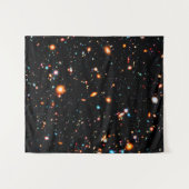 HXDFエクストリーム深いフィールド（中） タペストリー (正面(横))