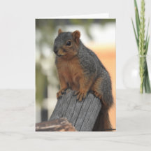 Hyと答えるためにチェックインする