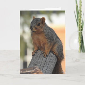 Hyと答えるためにチェックインする カード