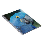 hyacinthのコンゴウインコのオウムのポートレート ノートブック (右側)