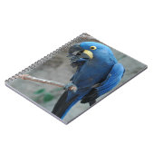 Hyacinthのコンゴウインコのノート ノートブック (左側)