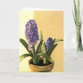 Hyacinthのポット カード (裏面)