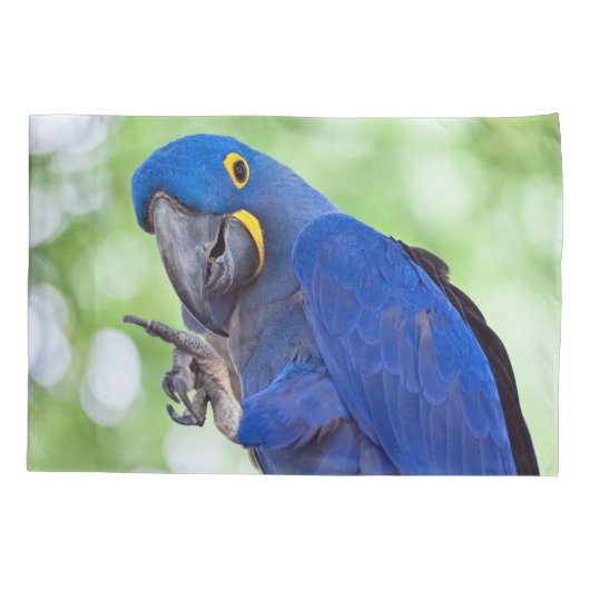 Hyacinth Macaw Bird 枕カバー (裏面)
