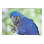 Hyacinth Macaw Bird 枕カバー (正面)