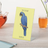 Hyacinth macaw bird cartoon illustration 台座サイン (インサイチュ)